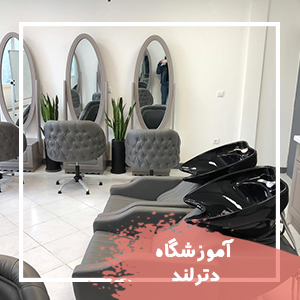 آموزشگاه زیبایی دترلند