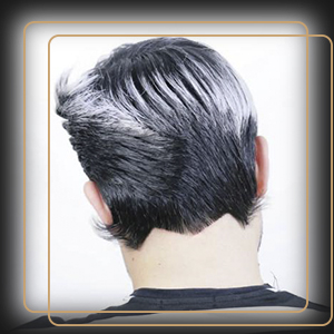نمونه کار حمیدمینایی