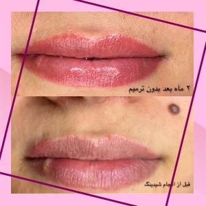 نمونه کار مونا بحیرایی۱